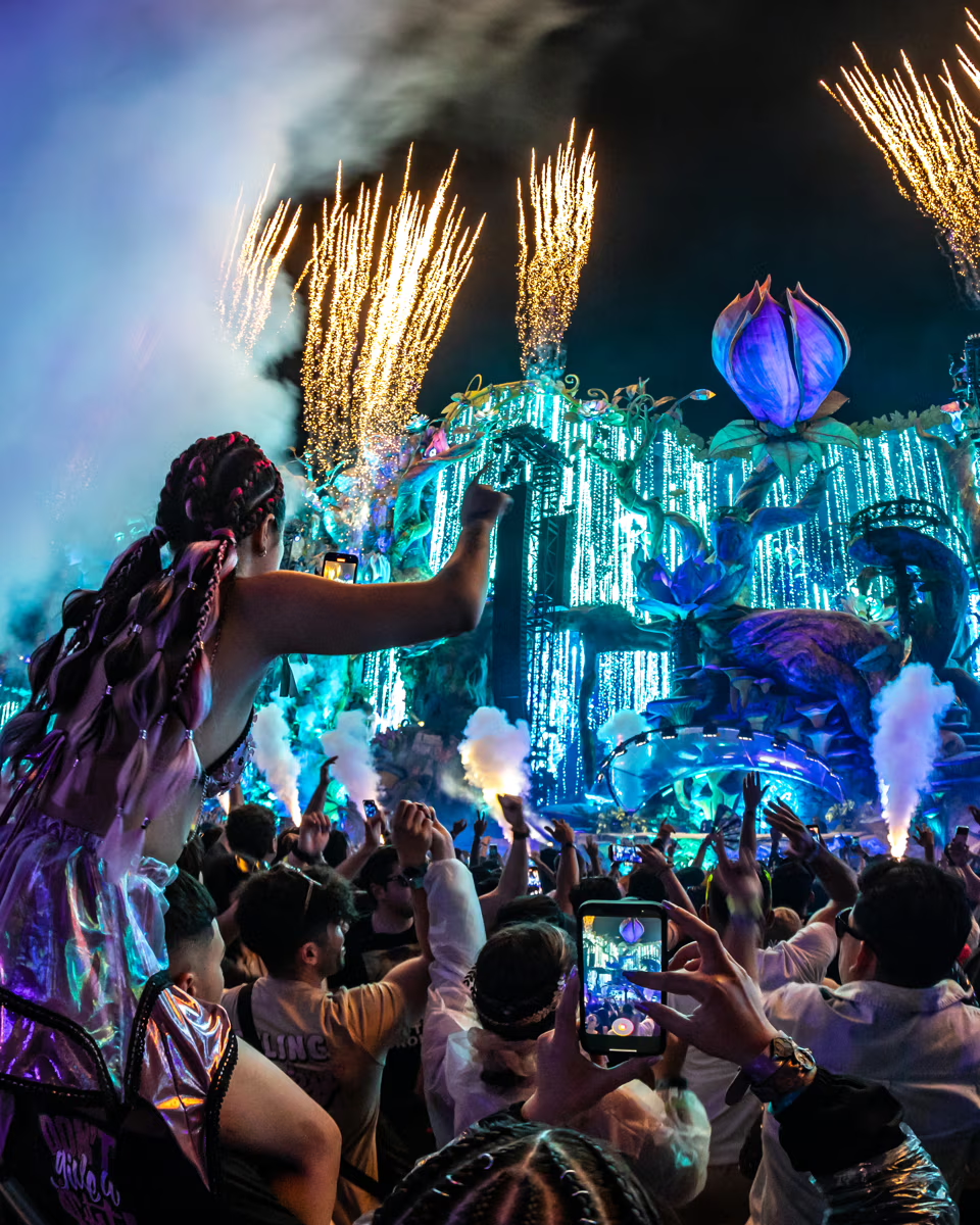  Tomorrowland Brasil 2025  Dimitri Vegas